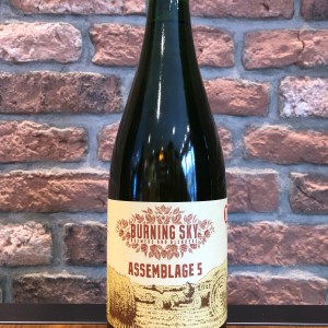Assemblage 5 - Burning Sky