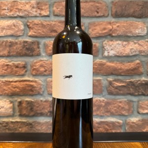 Root - Find & Foster