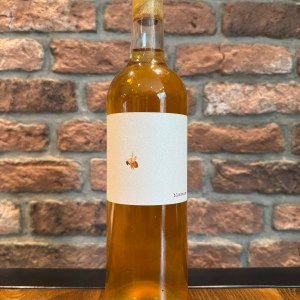 Blossom - Find & Foster