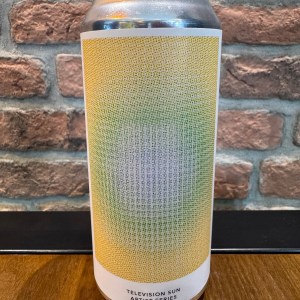 TELEVISION SUN - ARTIST SERIES - Evil Twin Brewing NYC