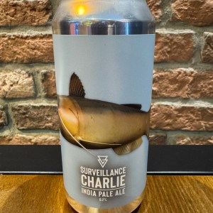 Surveillance Charlie - Azvex