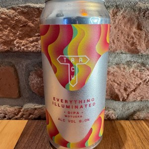 Everything Illuminated - Track