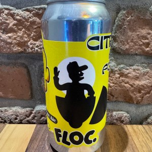 Citra: All Four DDH Pale - Floc