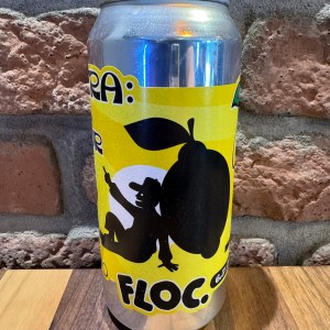 Citra: All Four DDH IPA - Floc