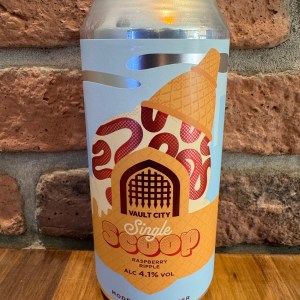 Raspberry Ripple-Single Scoop - Vault City