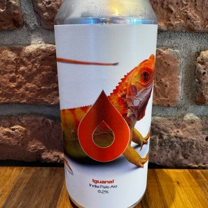 Iguana! - Polly's Brew Co